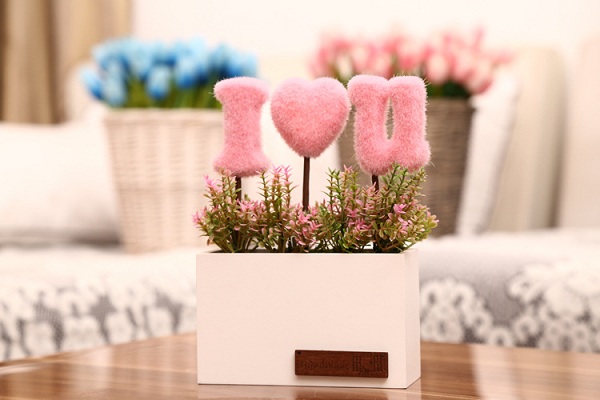 chậu cây i love u